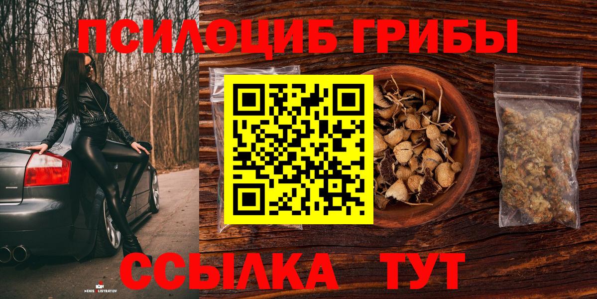 Тара  магазин  наркотиков  Вход с VPN  Галлюциногенные грибы мухоморы 